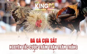 Đá gà cựa sắt - Chi tiết kinh nghiệm cược luôn thắng