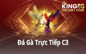 Đá gà trực tiếp C3 - Hướng dẫn kinh nghiệm cược hay nhất