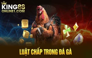 Giải mã định nghĩa Luật Chấp Trong Đá Gà