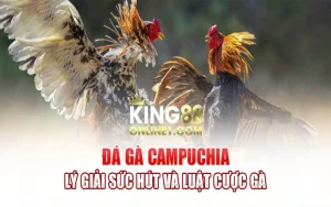 Trực tiếp đá gà Campuchia – Sức hút Giải trí đỉnh cao